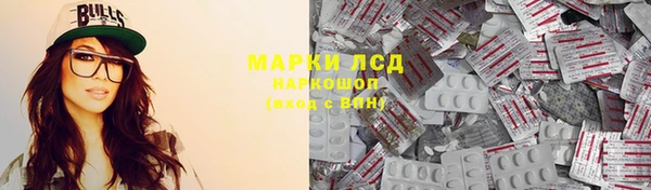 твердый Новодвинск